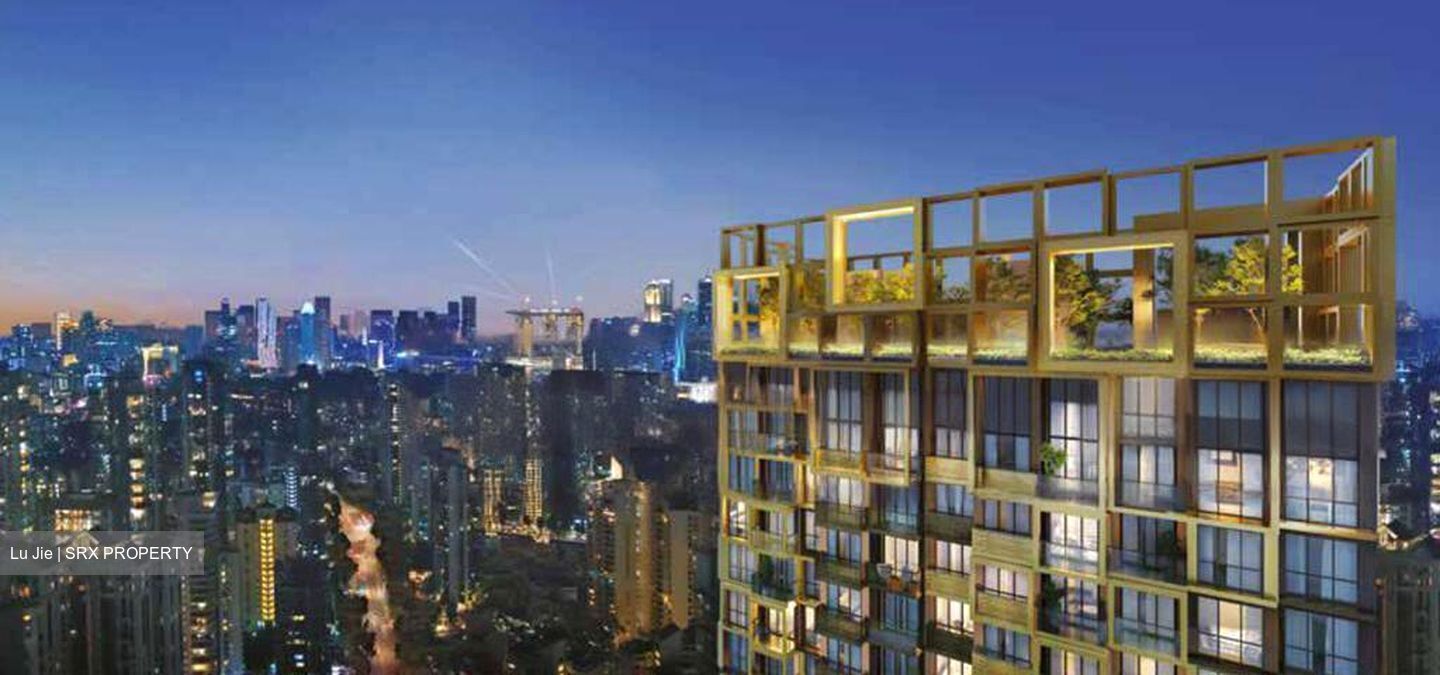 Irwell Hill Residences (D9), Apartment #462727461